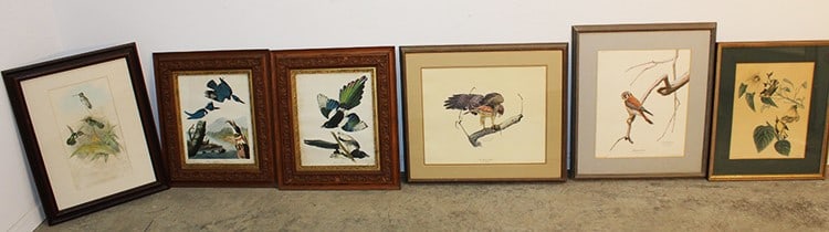 6 Audubon Style Prints and Lithos- Estate Fresh (1 of 6)