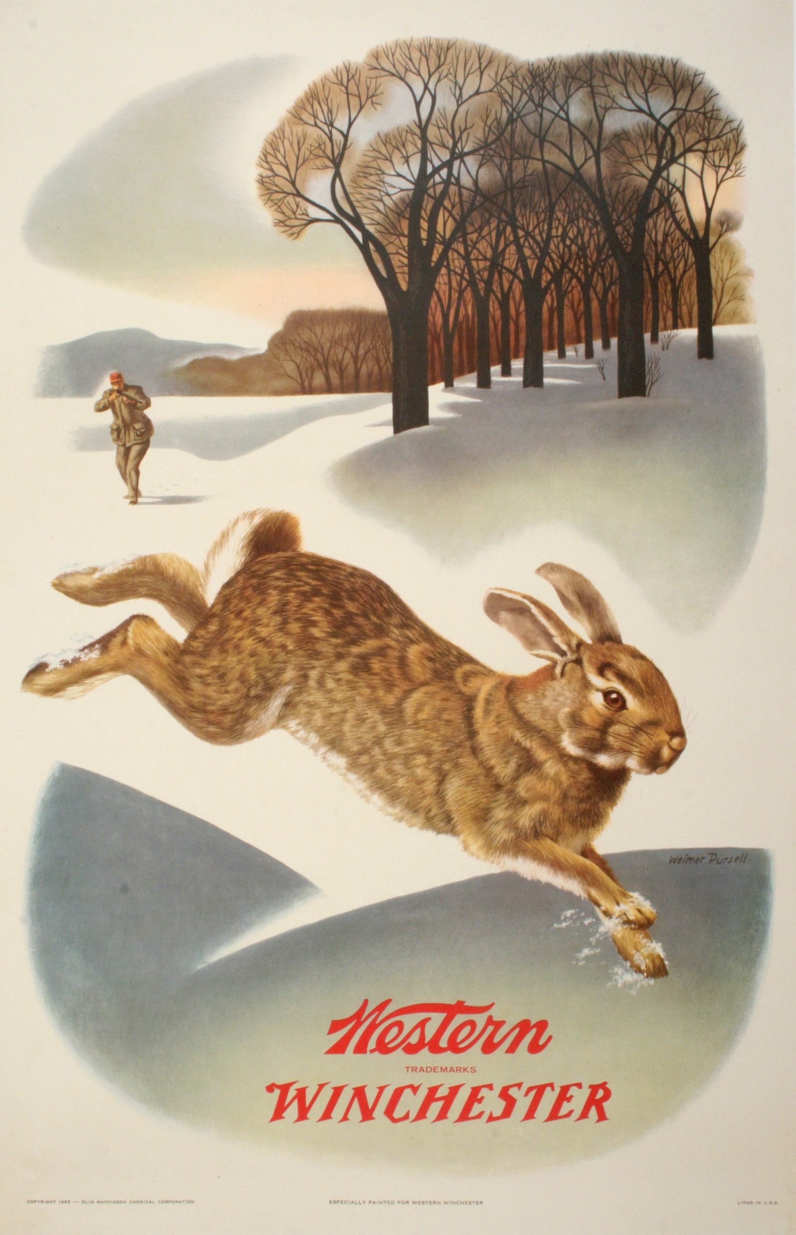 Original Winchester Rabbit Poster 1955 by Weimer Pursell: This vintage poster was made to advertise Winchester rifles by displaying game in its natural habitat, in this case a rabbit. It was one of a series of four posters designed by graphic artist Weimer P