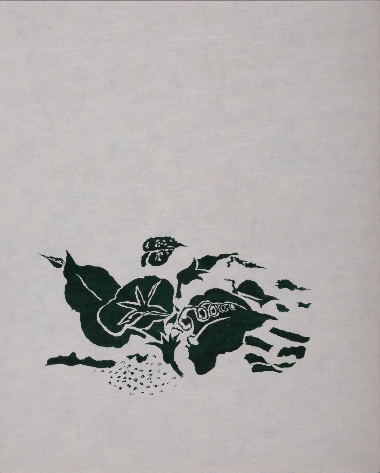 Georges Braque - Le liseron vert, 1963 - Scarce! (1 of 5)