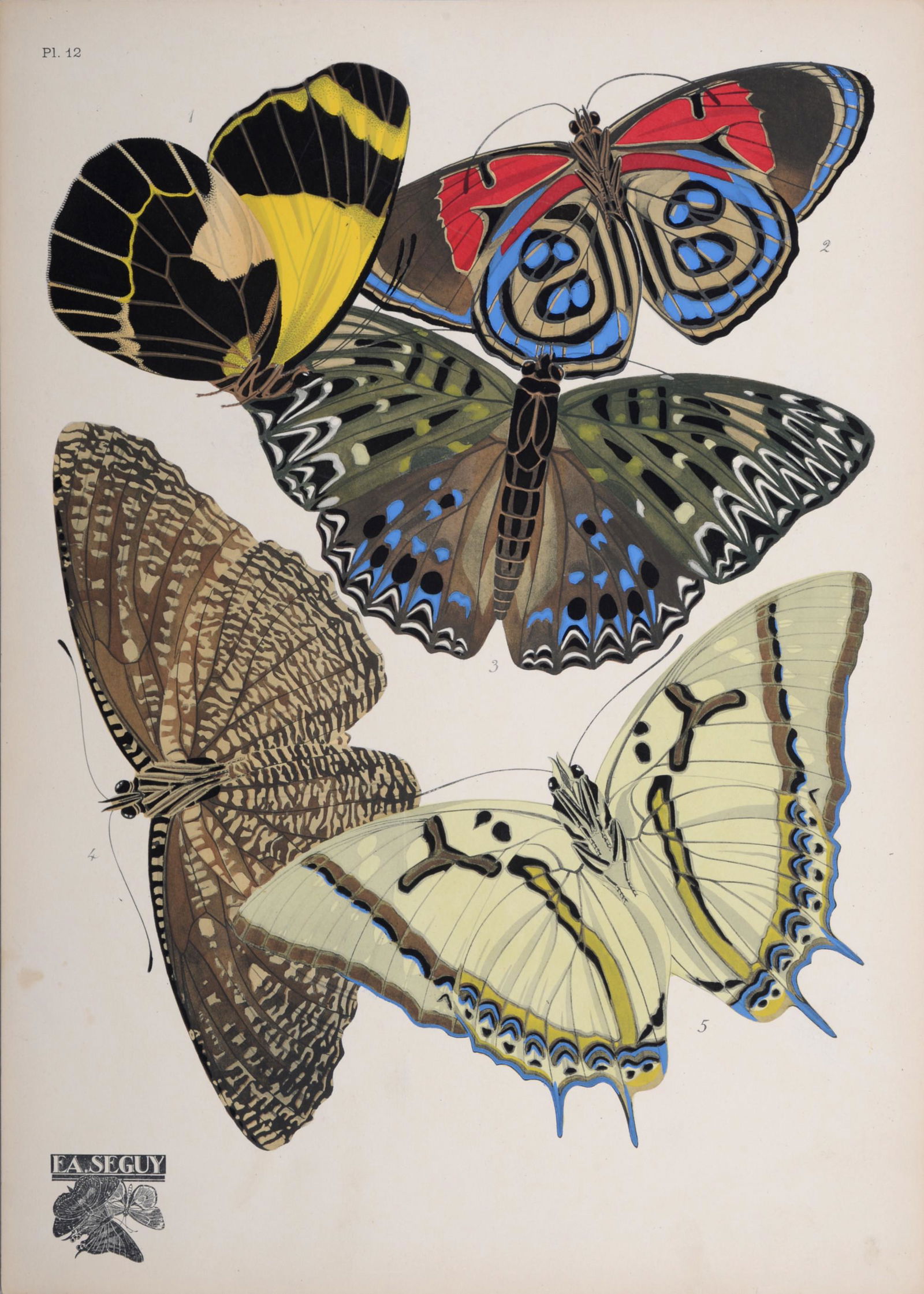 EA Seguy - Les Papillons - Plate 12, 1925 (1 of 6)