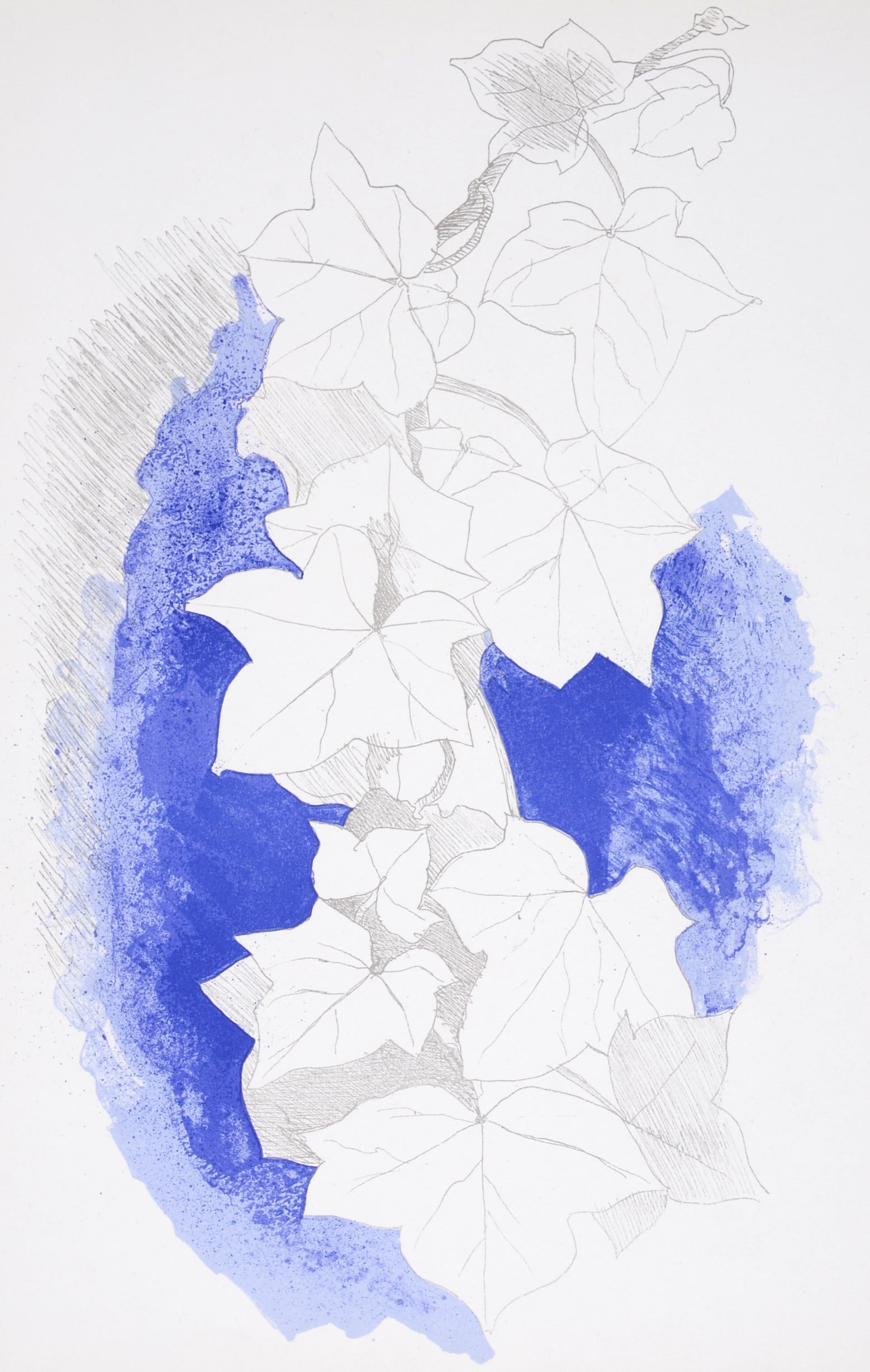 Georges Braque - Lierre, 1955 (1 of 5)