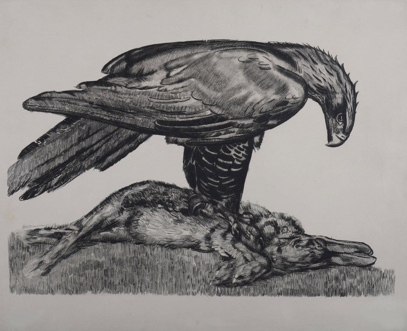 Paul Jouve - Aigle enserrant un lievre, c. 1930 - Deluxe suite!: Paul Jouve (1878-1973) Aigle enserrant un lievre, c. 1930 Etching (eau forte) on Velin paper "Van Gelder Zonen" (watermark). After the edition of 100, one of the 10 deluxe suites. Printed by Editions 