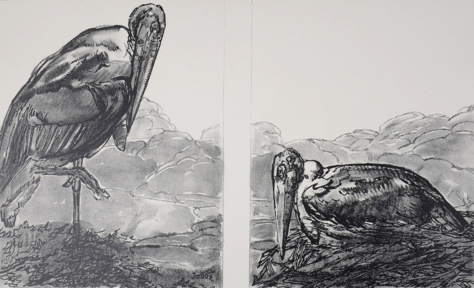 Paul Jouve - Les Marabouts, 1934.: Paul Jouve (1878 - 1973)Les Marabouts, 1934. Original lithograph on BFK Rives paper.Signed in the plate lower left.With BFK Rives watermark.Dimensions:+ Size of the sheet: 45.5 x 64.5 cm / 17.9 x 25.4