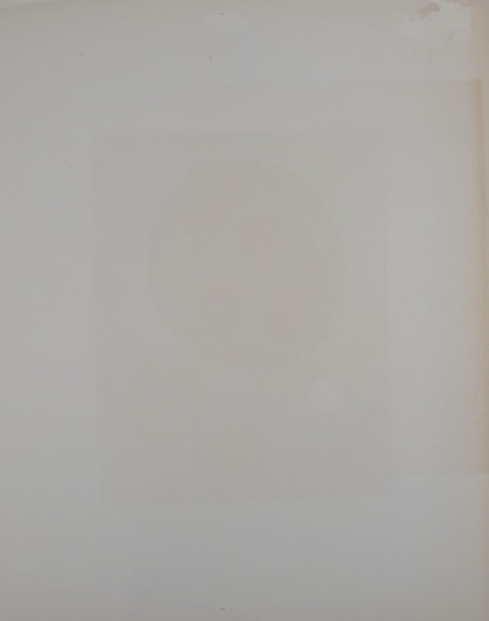 Jean Arp : Composition (C#1), 1966 - 4