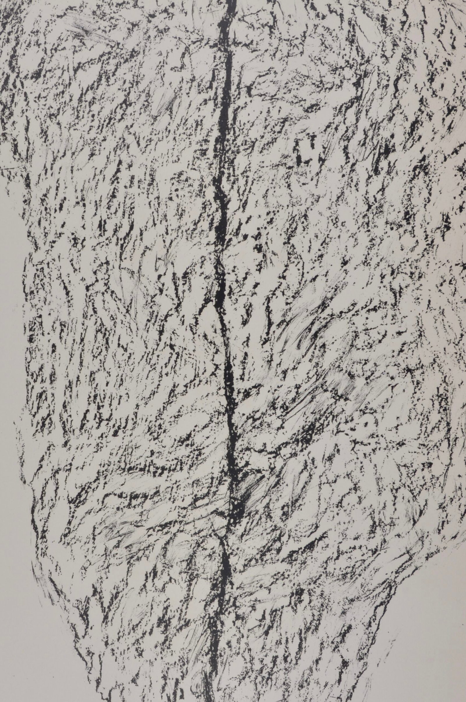 Rolf Iseli : Stein, 1972 - 2