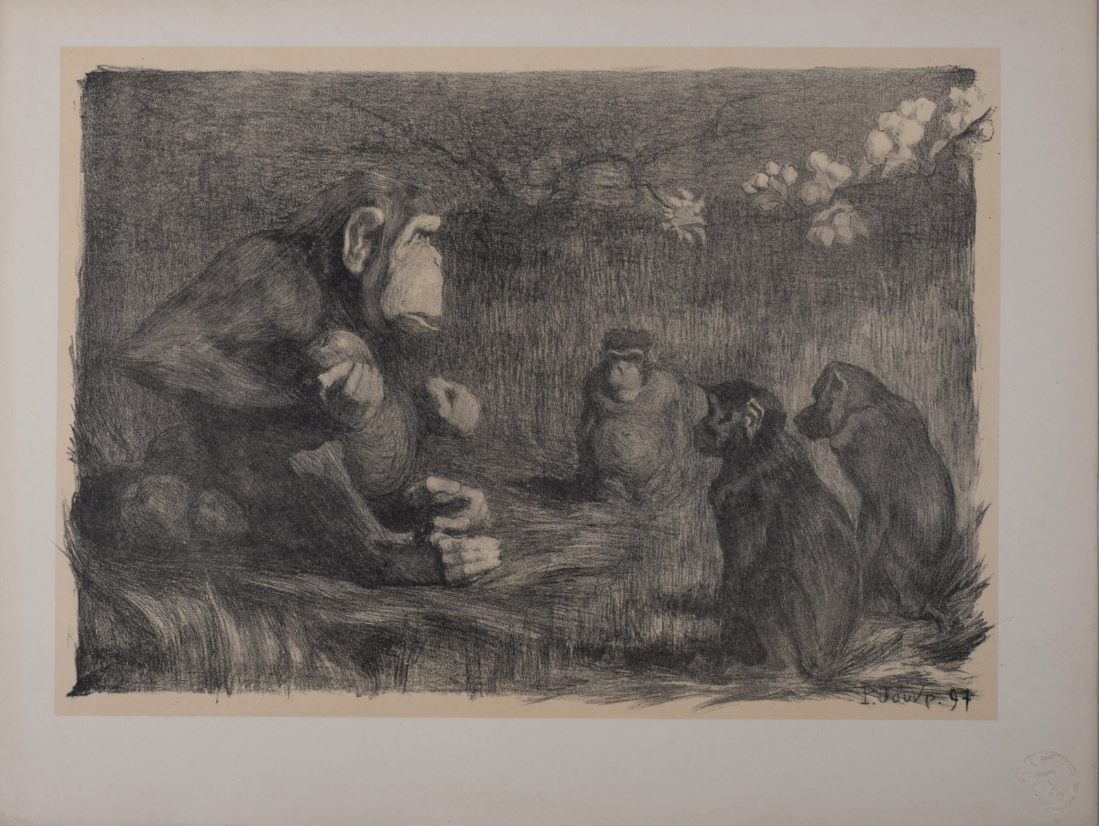 Paul Jouve : Famille de singes, 1897 (1 of 5)