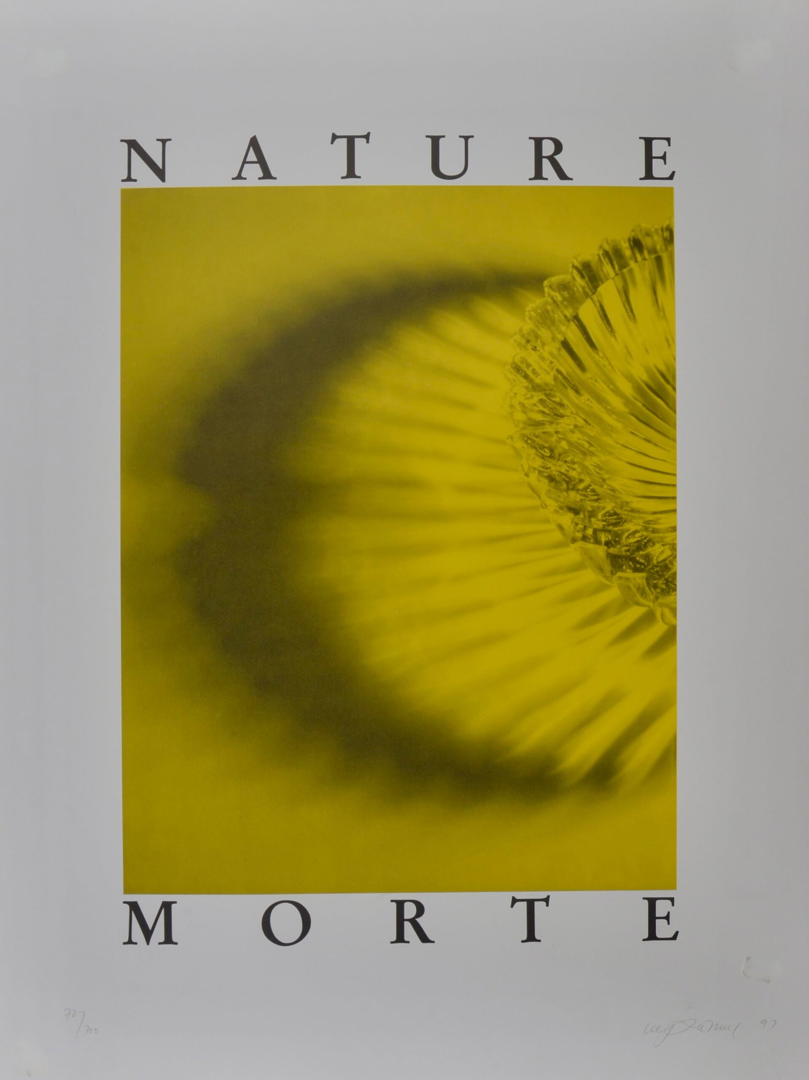 Urs Luthi : Nature Morte, 1992 (1 of 5)
