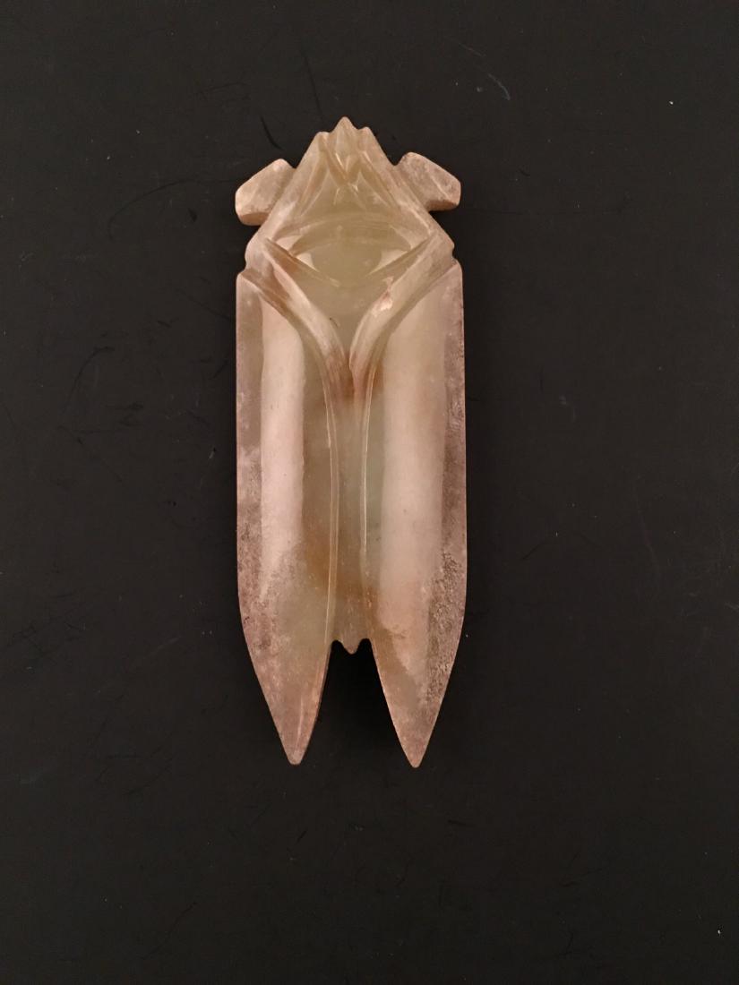 Chinese Jade Cicada (1 of 5)