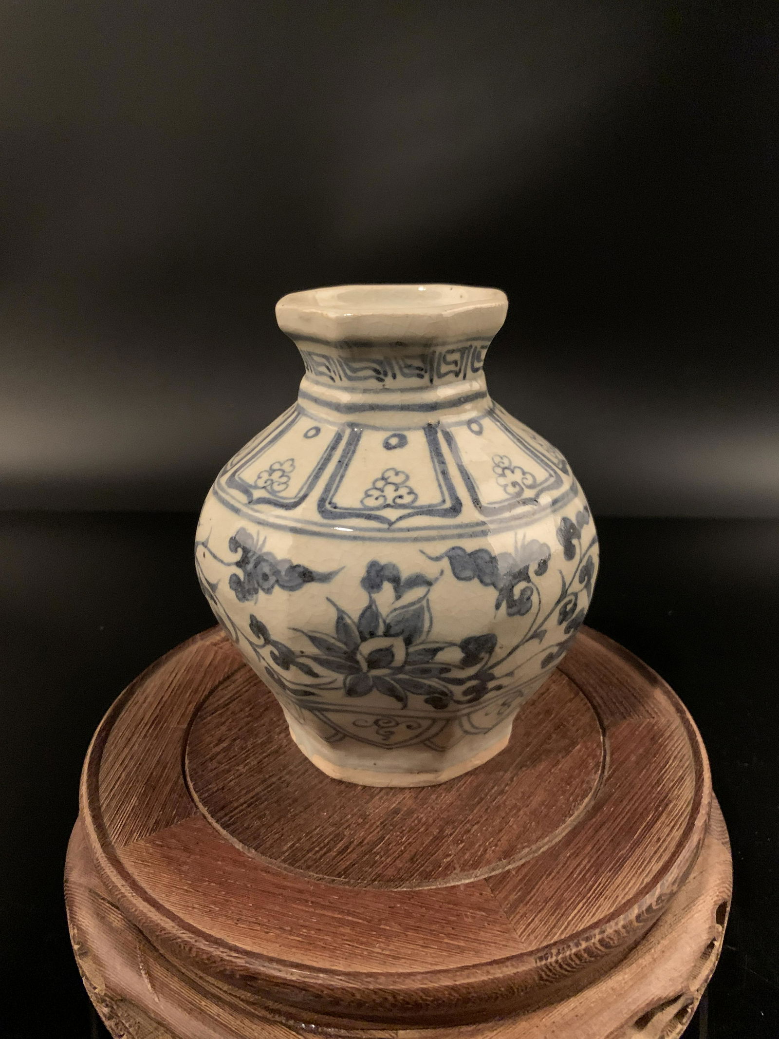 Chinese Blue and White Lotus Jar (1 of 8)
