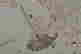 item-67995970=5