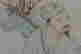 item-67995970=7