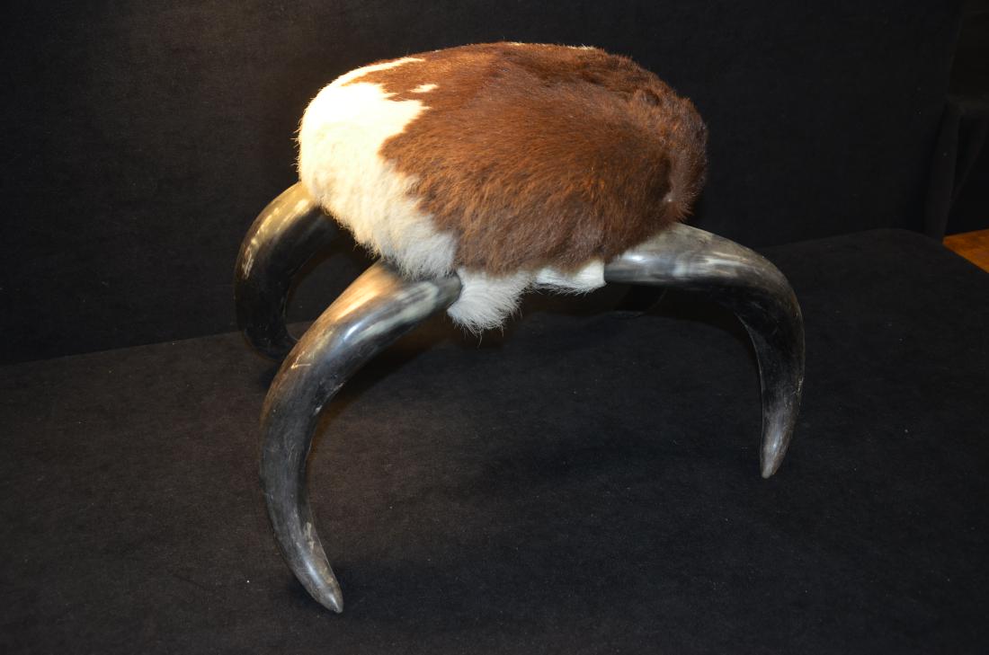 Vintage Cow hide / horn foot stool: Up for auction is a very interesting piece for any midcentury modern design or vintage collector. Cowhide topped foot stool with horn feet. Condition is good and the stool is intact.
