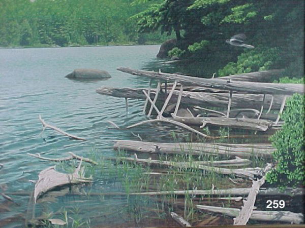 DAVID WARD: Untitled, driftwood at shoreline Framed watercolour on paper, signed 12 x 16 in (30.5 x 40.7 cm) (f=25 x 28 x 2 in)