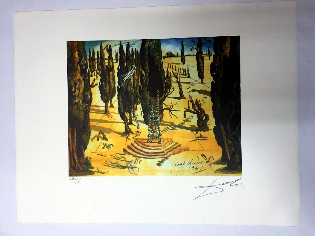 Salvador Dali (after) (1 of 9)