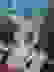 item-65326424=4