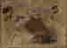 item-73305709=2