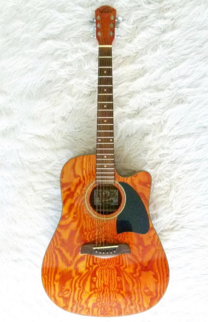 Oscar Schmidt AcousticElectric Guitar