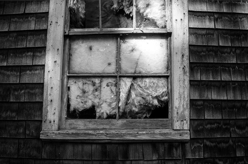 Cate Chevalier: Untitled, 2019 photograph 16 x 24 inches signed verso unframed WAAM was founded in 1919 by artists seeking to foster their fellow artists by providing exhibition space and building a strong community 