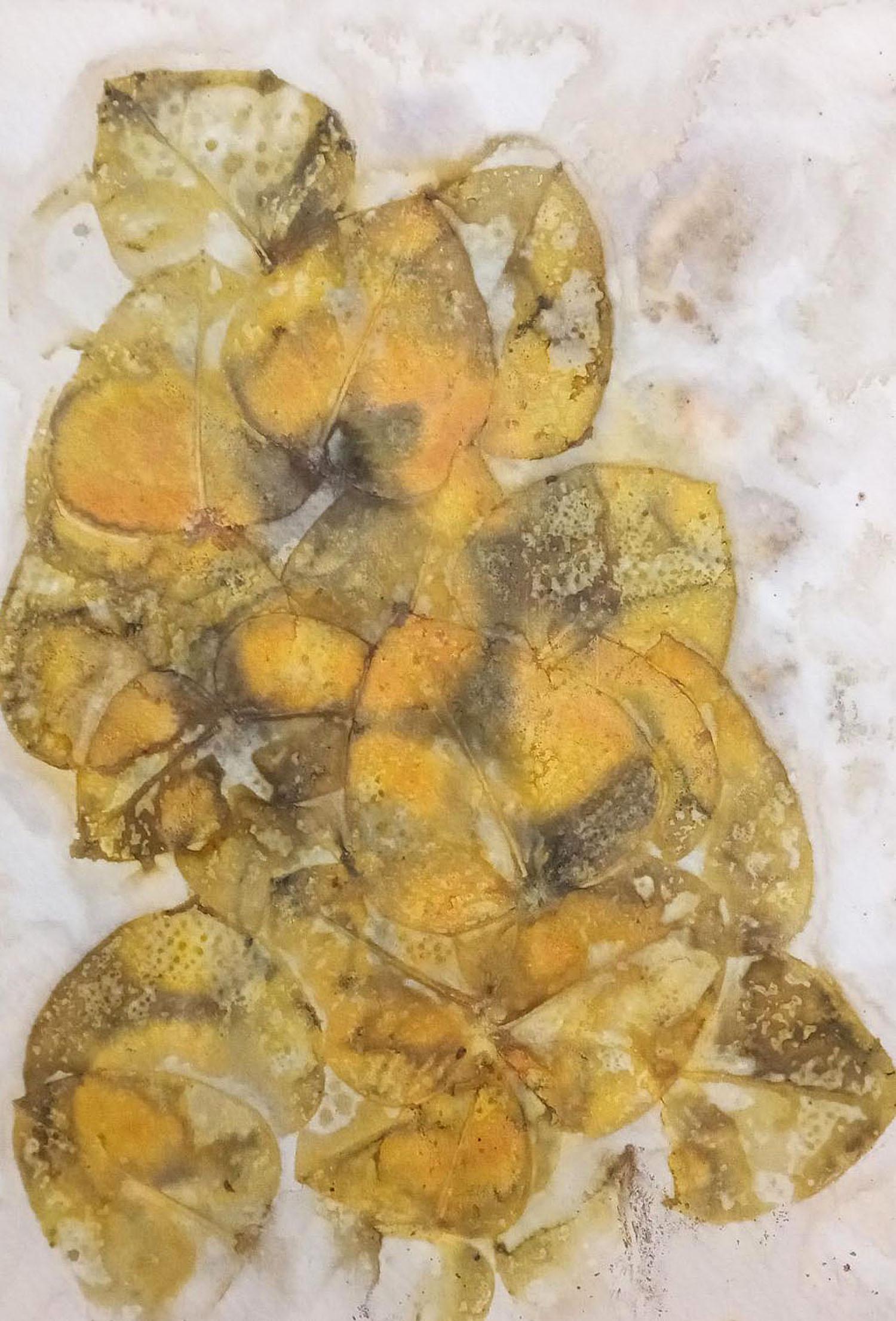 Claudia Waruch, "Of Course": Eco Print /Plant matter with Natural Dye date created:2022 size:10" x 7"