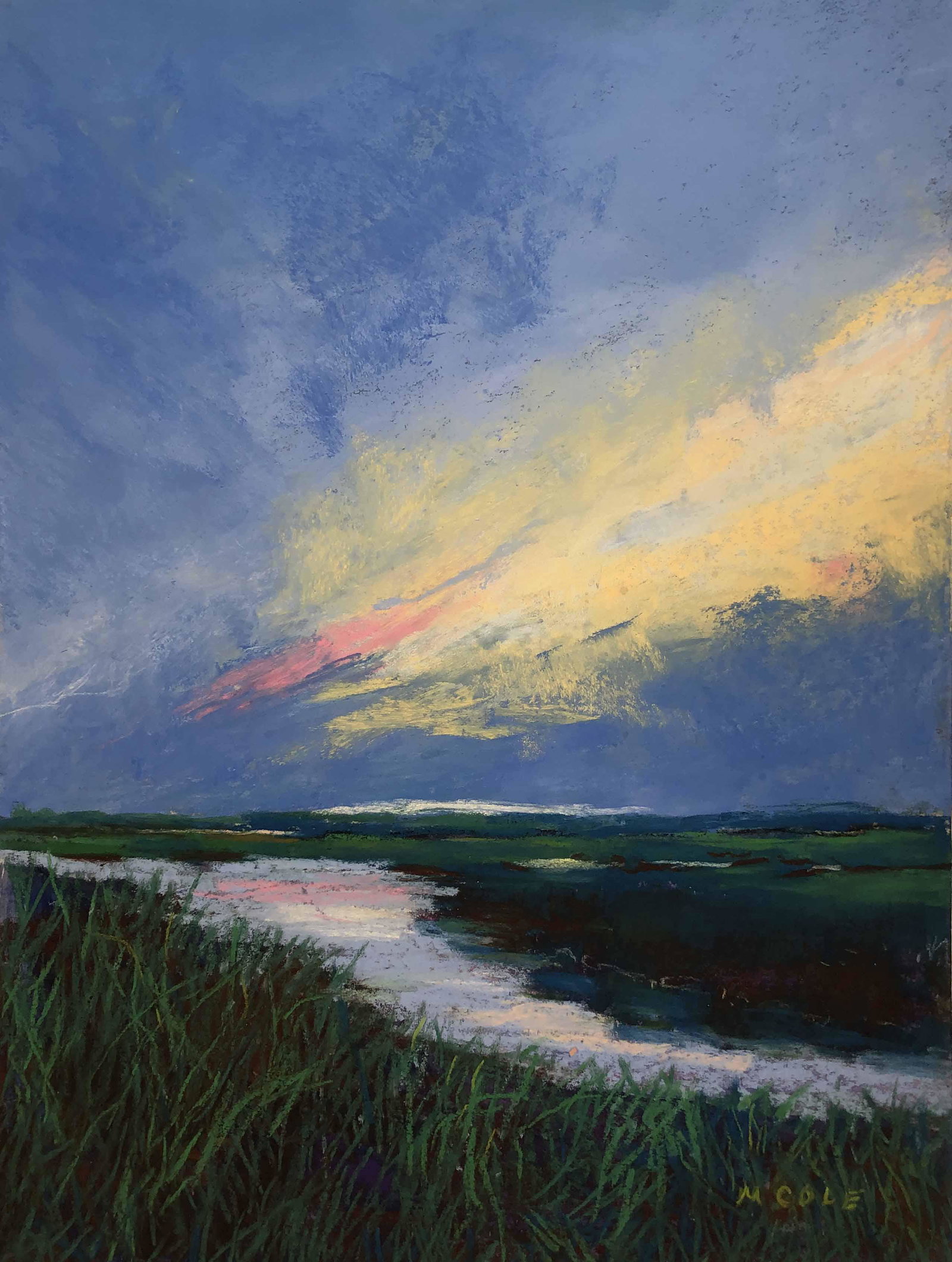 Marie Cole, Summer Salt Marshes: Pastel date created:2022 size:12" x 9"