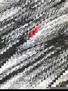 Iain Machell: Fissure, 2023, Crayon and ink on paper, 18" x 13.5"