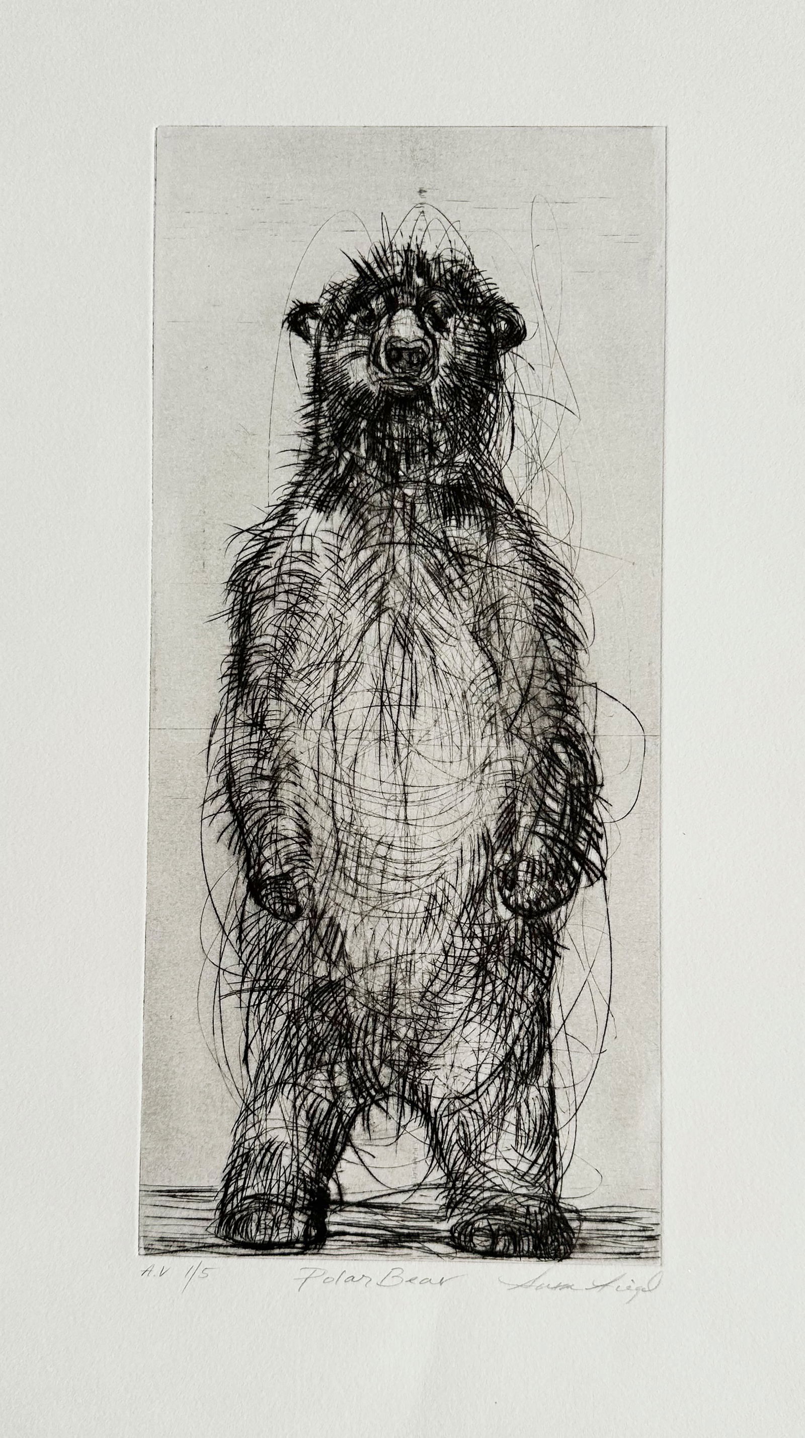 Susan Siegel (1 of 1)