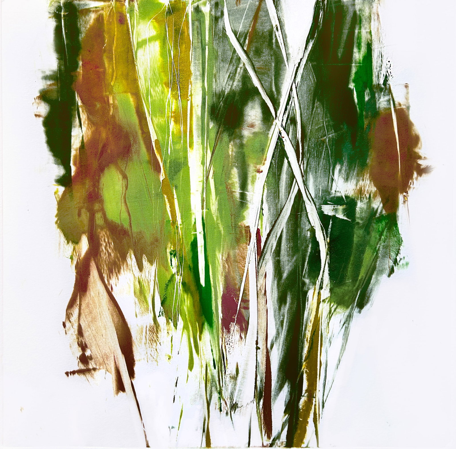 Maxine Davidowitz (1 of 1)
