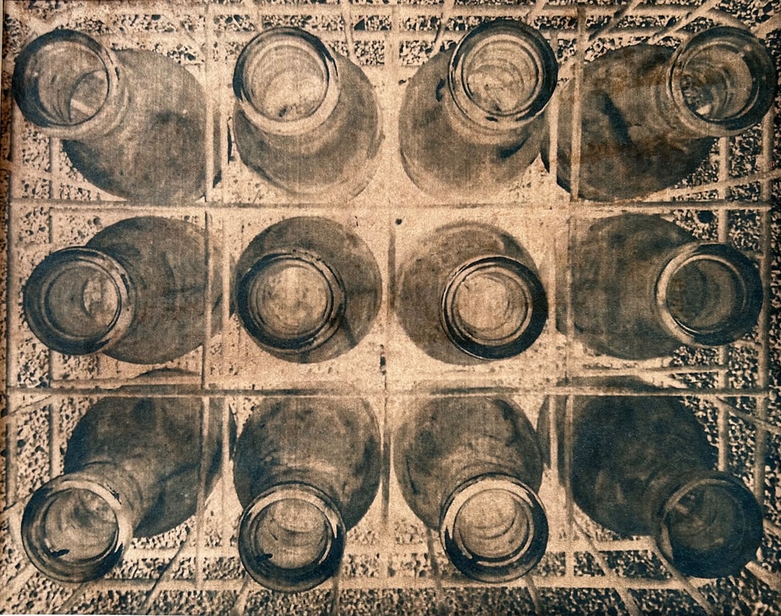 Dione Boisvert (1 of 1)