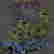 item-77517614=2