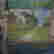 item-77517614=4