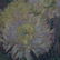 Antique Arts & Crafts Floral in Newcomb Macklin School - 4