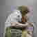 item-131330701=7