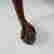 item-131330796=10