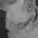 item-131330807=8