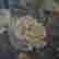 item-131330858=5