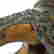 item-131330954=13