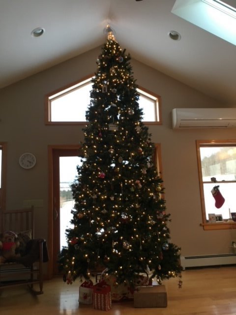12' Christmas Tree: 12' Christmas Tree....NOTE - THIS LOT IS OFFSITE - NOT AVAILABLE FOR PREVIEW - RETRIEVAL WINDOW RESTRICTED TO TUESDAY & WEDNESDAY (AUG 29 & 30) 12-4PM - ADDRESS PROVIDED UPON PURCHASE.....FOR INFORMAT
