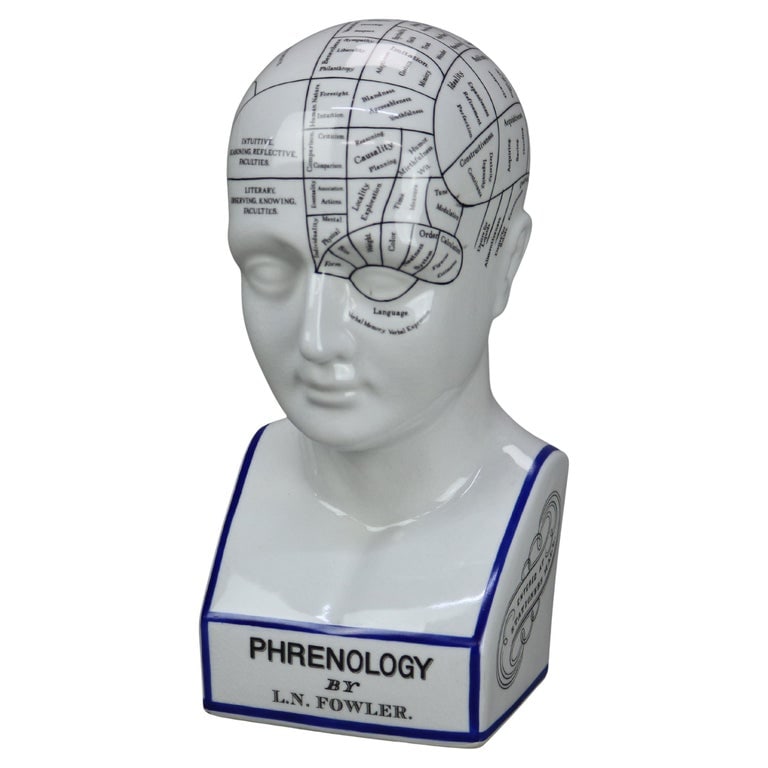 Vintage L. N. Fowler Pottery Phrenology Head by Authentic Models 20thC (1 of 12)