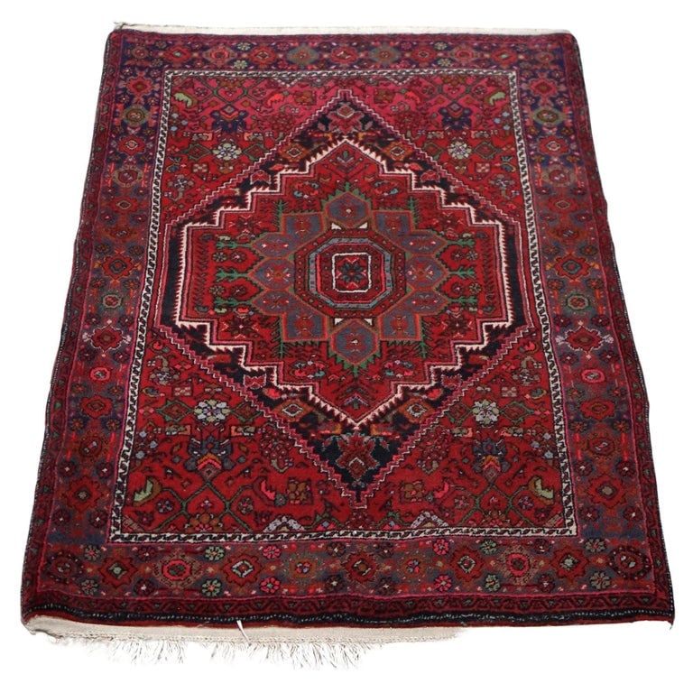 Persian Wool Rug with Central Medallion, 20th C (1 of 9)