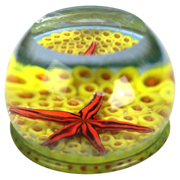 Starfish Glass Paperweight (1 of 4)