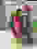 item-7903987=6