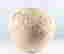 item-66290759=1