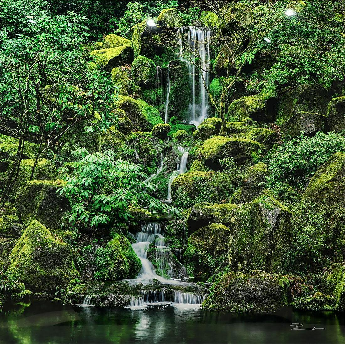 Peter Lik (Australian, b. 1959) Jade Garden Photograph (1 of 3)