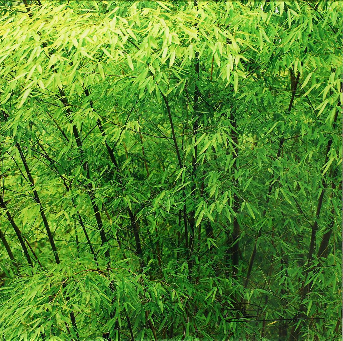 Peter Lik (Australian, b. 1959) Zen Elements (1 of 2)