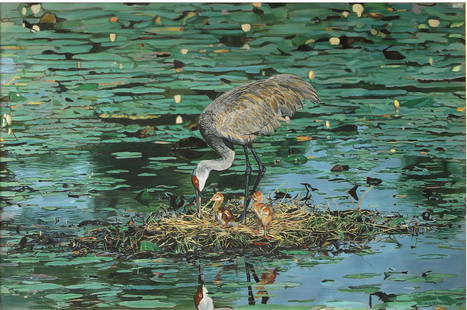 Mike O' Sullivan Oil on Canvas: Oil on canvas by Mike O&#39; Sullivan depicting a sandhill crane with 2 babies. It is signed and dated 1997 in the bottom right. Measures approx 45.5&#34; x 31.5&#34; (42&#34; x 28&#34; framed). In gr