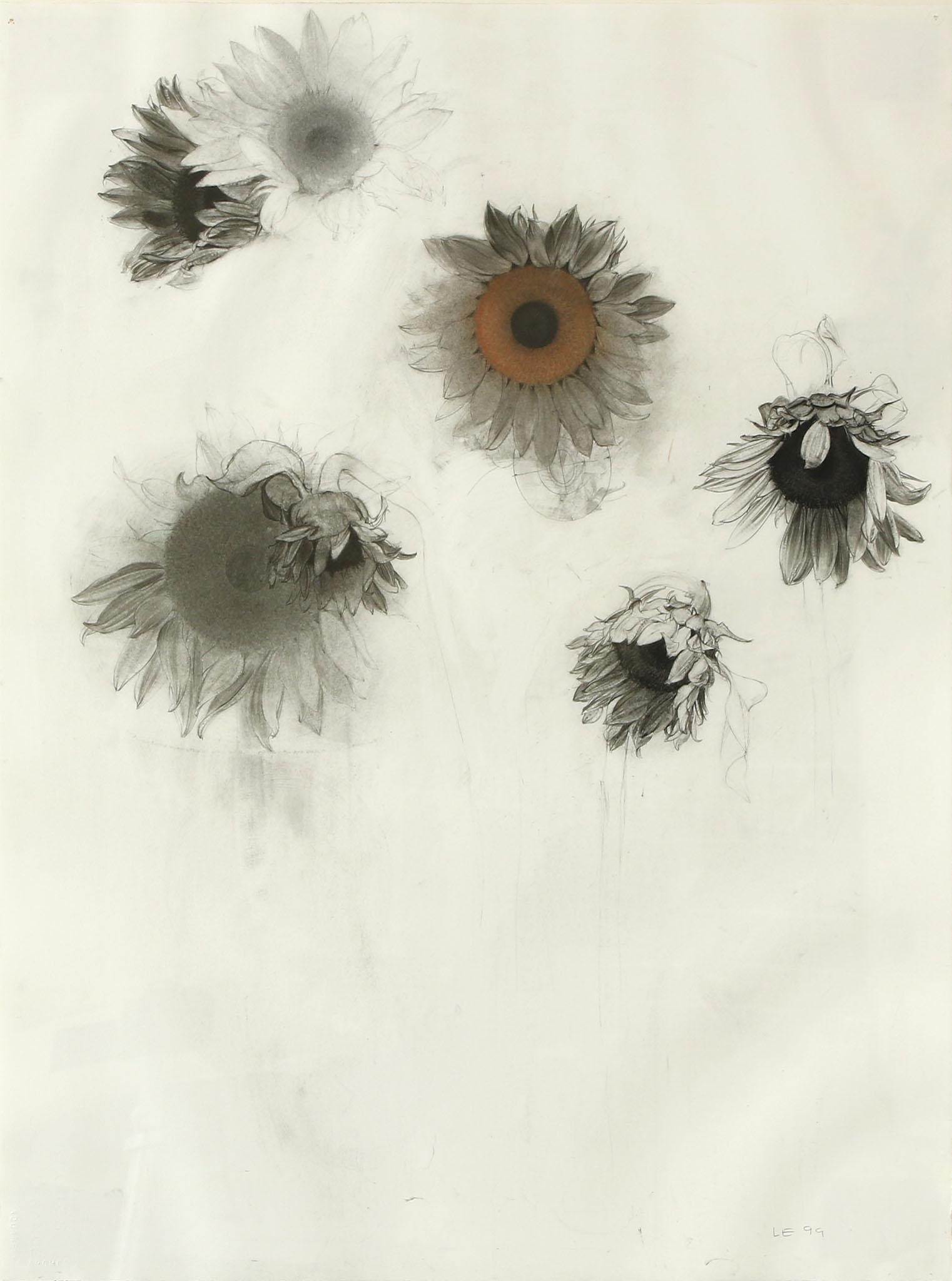 Linda Etcoff Charcoal and Pastel on Paper: Framed charcoal and pastel on paper by Linda Etcoff titled Sunflower Study with Orange Sunflower. Initialed and dated '99 in pencil. Measures approx 30" x 22.5" (38" x 30" framed).