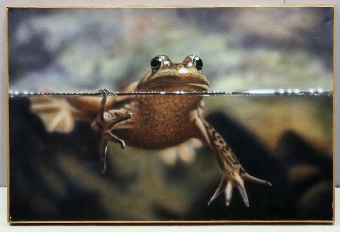 Kevin Aguilar "La Rana Grande" Acrylic on Canvas (1 of 4)