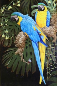 David Ord Kerr (British, b. 1951) "Pair of Blue and Yellow Macaws" Oil on Canvas