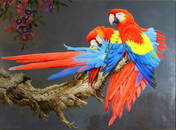 David Ord Kerr (British, b. 1951) "'Pair of Scarlett Macaws" Oil on Panel