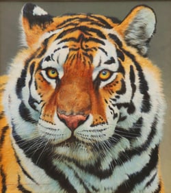 David Ord Kerr (British, b. 1951) "Siberian Tiger" Oil on Panel